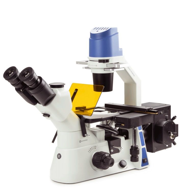 OXION INVERSO TRINOCULAR